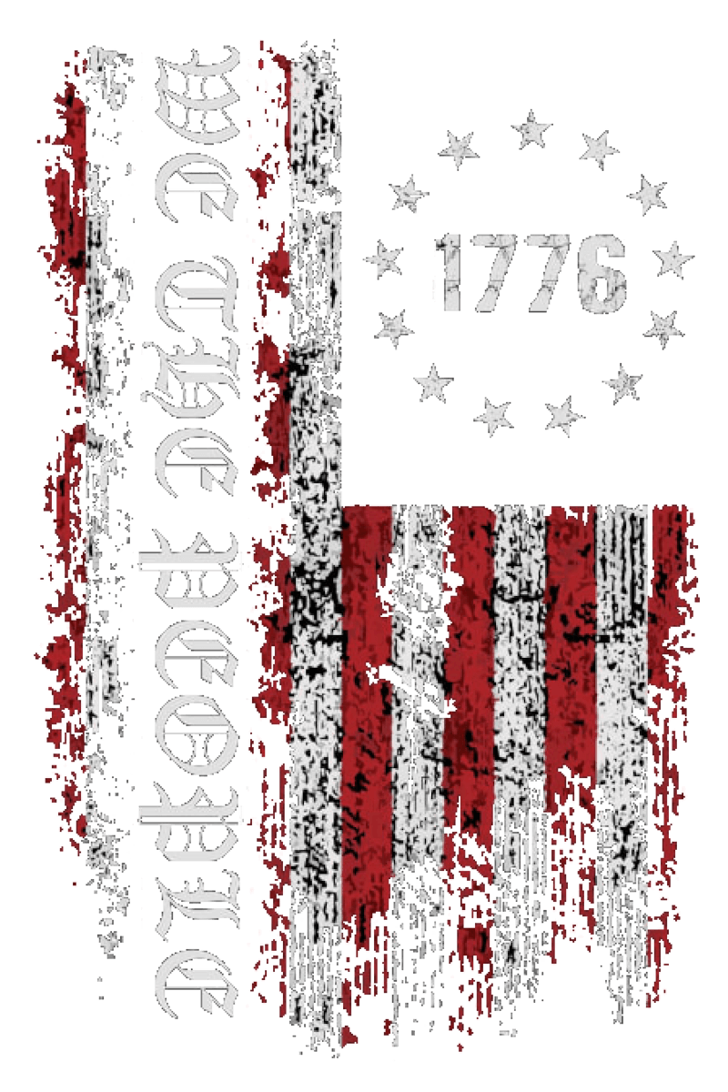 We the People 1776 flag